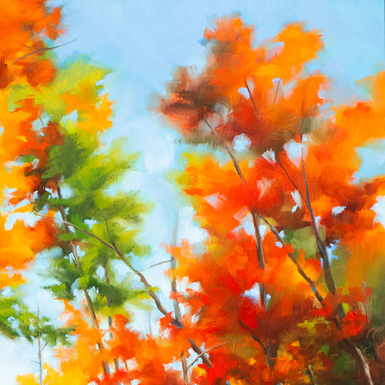 October Cascade
